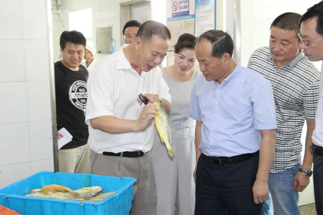 福建“面朝大?！奔涌炝魍▌?chuàng)新